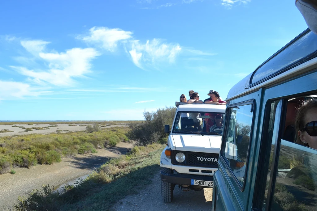 Groupe de gens se tenant debout dans un 4x4 en pleine Camargue