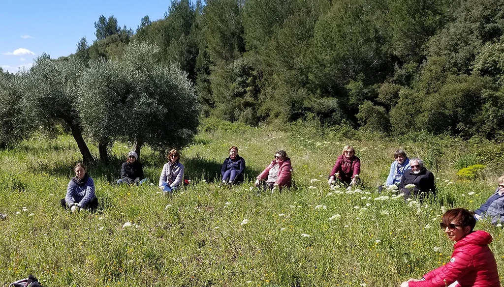 Groupe assis dans un champ en pleine scéance de Sophrologie
